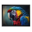 Quadro 60cm X 80cm Animal Arara Tropical Artes