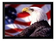 Quadro Águia Americana Foto Poster Moldurado Decoração Quadro Águia Americana Foto Poster Moldurado Decoração