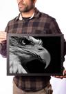Quadro Águia Arquetipo Simbolo De Visão Liderança Decoração Quadro Águia Arquetipo Simbolo De Visão Liderança Decoração