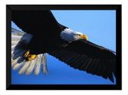 Quadro Águia Céu Foto Poster Moldurado Decoração