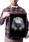Quadro Águia Símbolo Renovação Poder Coragem Decoração Quadro Águia Símbolo Renovação Poder Coragem Decoração