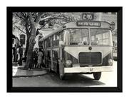 Quadro Antigo Ônibus Linha C-10 Mauá Fátima 1966 Retro