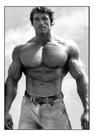 Quadro Arnold Schwarzenegger Academias Cenário 42x29cm