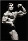 Quadro Arnold Schwarzenegger Academias Cenário 42x29cm