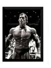 Quadro Arnold Schwarzenegger Poster Moldurado Musculação