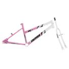 Quadro Aro 20 Ultra Bikes em Aço Carbono Bicolor com Garfo Feminino
