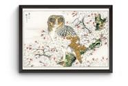 Quadro Arte Japonesa Coruja Poster
