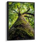 Quadro Árvore Ancestral da Força e Sabedoria Viva Quadro Árvore Ancestral da Força e Sabedoria Viva