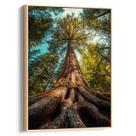 Quadro Árvore Colossal das Raízes Eternas Quadro Árvore Colossal das Raízes Eternas