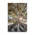 Quadro Árvore Com Raízes Expostas Decorativo Moderna Para Sala Quarto Escritório Canvas - Bimper