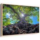 Quadro Árvore da Vida em Fragmentos de Luz