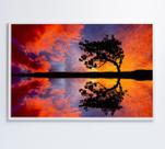 Quadro árvore por do sol Quadro árvore por do sol