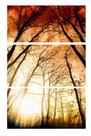 Quadro Arvoredo Amarelo 70x150 trio Atelier Valverde