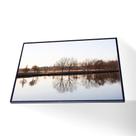 Quadro Árvores Secas Vinil Com Vidro