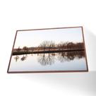 Quadro Árvores Secas Vinil Sem Vidro