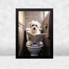 Quadro Banheiro Cão Maltês Lendo Jornal 33x24cm - com vidro