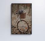 Quadro Bicicleta Branca