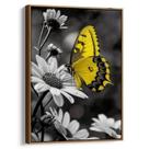 Quadro Borboleta Amarela Dançando Entre Flores Luminosas Quadro Borboleta Amarela Dançando Entre Flores Luminosas