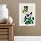Quadro Borboleta Com Flores - Vintage 24x18cm