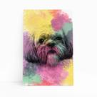 Quadro Cachorro Maltês Tinta Aquarela Canvas 60x40cm