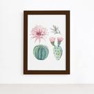 Quadro Cacto Floridos Moldura Marrom 22x32cm