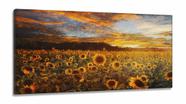 Quadro Campo de Flores Pôr do Sol Girassol Mosaico em Tecido Canvas