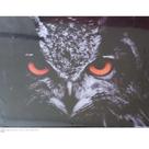 Quadro Canva Coruja/Olhos Vermelhos/Natureza