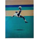 Quadro Canva Golden Ball France 1938/Bicicleta/Futebol/Ilustração Quadro Canva Golden Ball France 1938/Bicicleta/Futebol/Ilustração