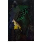 Quadro Canva Green Arrow/Arqueiro Verde/Oliver Queen/Herói/Série/Ilustração
