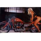 Quadro Canva Motorcycle Chopper/Modelo Loira
