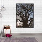 Quadro Canvas Árvore sem Folhas 70x50