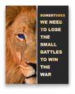 Quadro Canvas Decorativo Leão Frase Motivacional 80x100cm