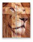 Quadro Canvas Decorativo Leão Rei de Juda Cruz 80x100cm