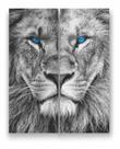 Quadro Canvas Decorativo Leão Rei de Juda Face Face 80x100cm
