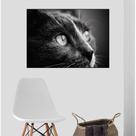 Quadro Canvas Decorativo para Sala Cat Face 80x1,00