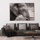 Quadro Canvas Decorativo para Sala Elefante 50x70