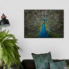 Quadro Canvas Decorativo para Sala Pavão 50x70 Quadro Canvas Decorativo para Sala Pavão 50x70