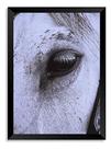 Quadro Cara Cavalo Branco 50x70cm