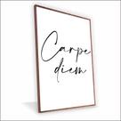 Quadro Carpe Diem Vinil Com Vidro