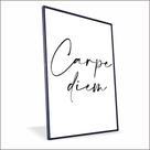Quadro Carpe Diem Vinil Sem Vidro Quadro Carpe Diem Vinil Sem Vidro