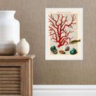 Quadro Casa De Praia - Coral Vintage 45x34cm