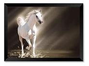 Quadro Cavalo Branco Radiante De Luz 40x60cm Quadro Cavalo Branco Radiante De Luz 40x60cm