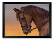 Quadro Cavalo Cara Lateral Fundo Laranja 15x21cm