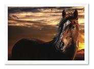 Quadro Cavalo Fotografia Paisagem 15x21cm Quadro Cavalo Fotografia Paisagem 15x21cm
