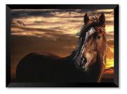 Quadro Cavalo Lateral Fundo Preto Ft Marrom 50x70cm Quadro Cavalo Lateral Fundo Preto Ft Marrom 50x70cm