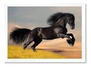 Quadro Cavalo Preto Jardim Verde 50x70cm Quadro Cavalo Preto Jardim Verde 50x70cm