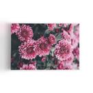 Quadro Chrysanthemum Morifolium Flor Rosa Canvas 60x40cm Quadro Chrysanthemum Morifolium Flor Rosa Canvas 60x40cm