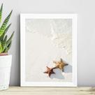 Quadro Coleção Praia Soft - Estrelas Do Mar 24x18cm Quadro Coleção Praia Soft - Estrelas Do Mar 24x18cm