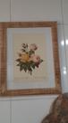 Quadro com Gravavura Floral