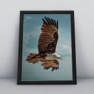 Quadro com moldura Aguia Aguia-15-M1 Quadro com moldura Aguia Aguia-15-M1